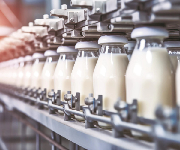 Dairy Industries