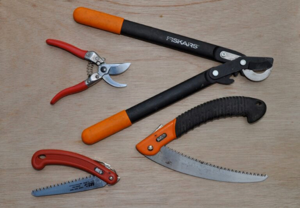 Shears and Saws