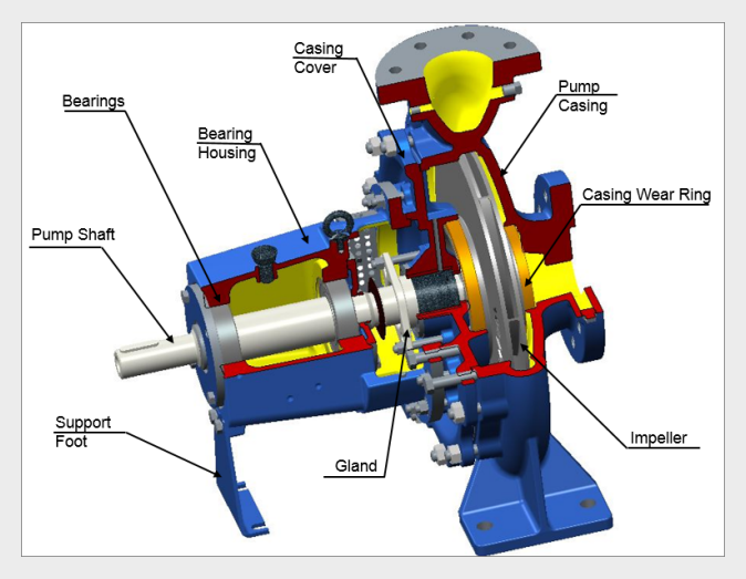 pumps and motors