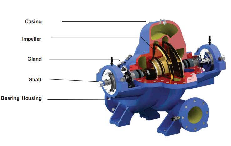 pumps and motors